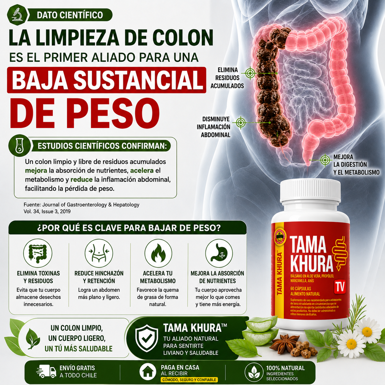 Colon Vital+™ - Bienestar digestivo natural para sentirte más liviano y equilibrado cada día