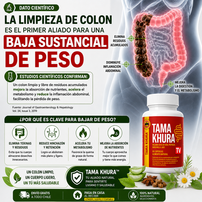 Colon Vital+™ - Bienestar digestivo natural para sentirte más liviano y equilibrado cada día