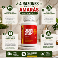 Colon Vital+™ - Bienestar digestivo natural para sentirte más liviano y equilibrado cada día