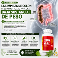 Colon Vital+™ - Bienestar digestivo natural para sentirte más liviano y equilibrado cada día