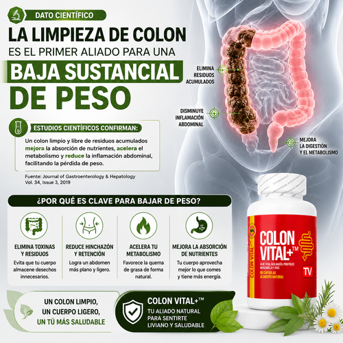 Colon Vital+™ - Bienestar digestivo natural para sentirte más liviano y equilibrado cada día